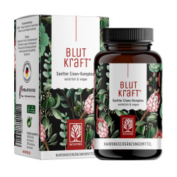 Železo kompleks, 120 kapsul